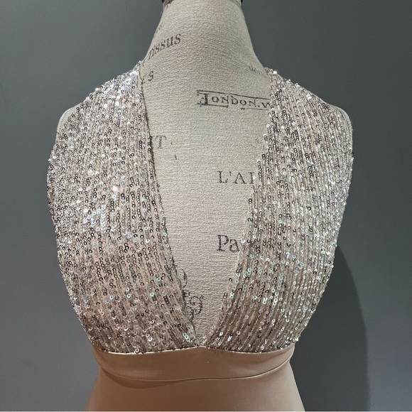 NWT Windsor Champagne Sequin Bodycon Dress Plunge Neckline Sleeveless Size M - Picture 3 of 9